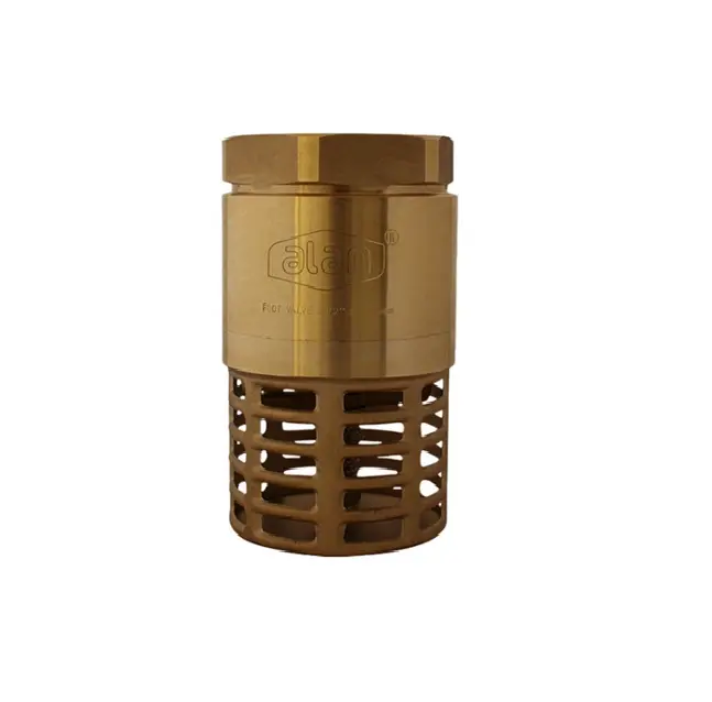 Pichancha de 1" con rejilla de latón